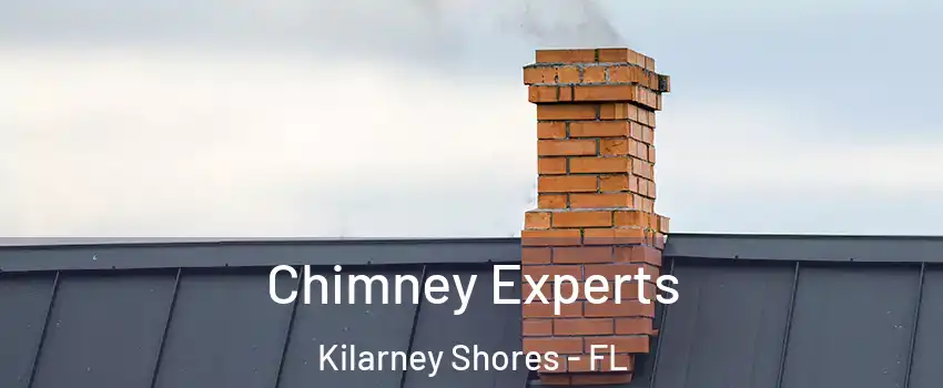 Chimney Experts Kilarney Shores - FL