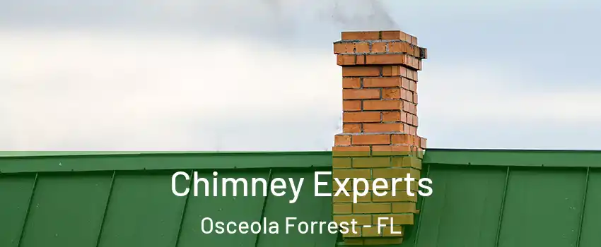 Chimney Experts Osceola Forrest - FL