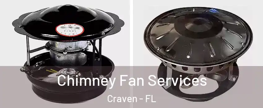 Chimney Fan Services Craven - FL