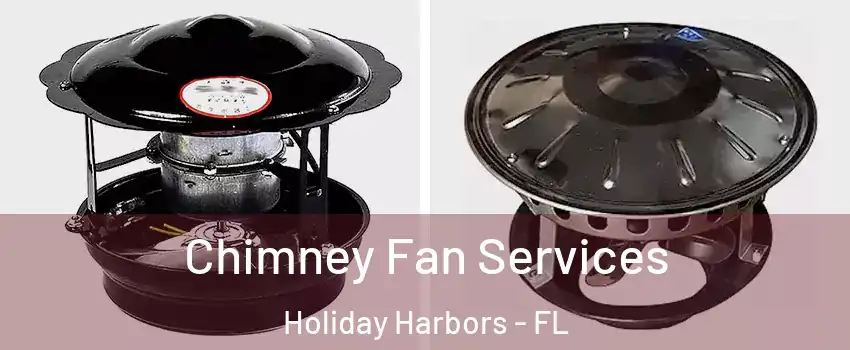 Chimney Fan Services Holiday Harbors - FL