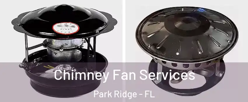 Chimney Fan Services Park Ridge - FL