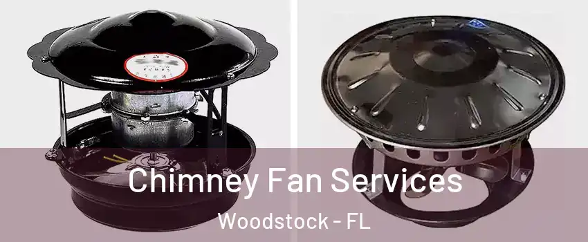 Chimney Fan Services Woodstock - FL