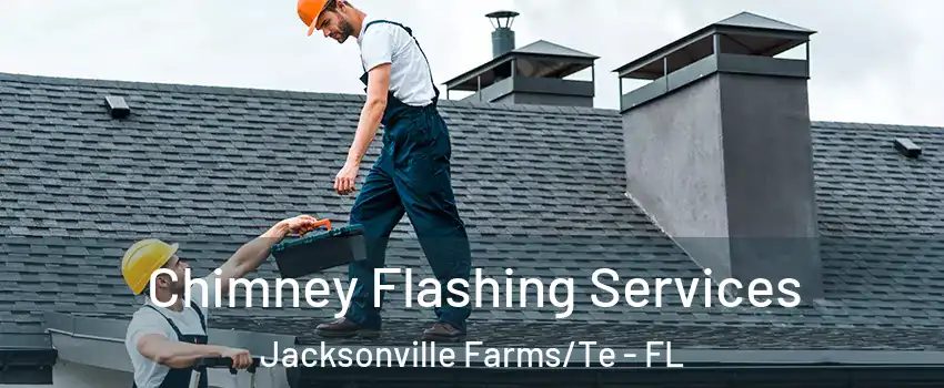 Chimney Flashing Services Jacksonville Farms/Te - FL