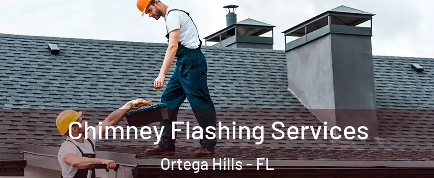 Chimney Flashing Services Ortega Hills - FL