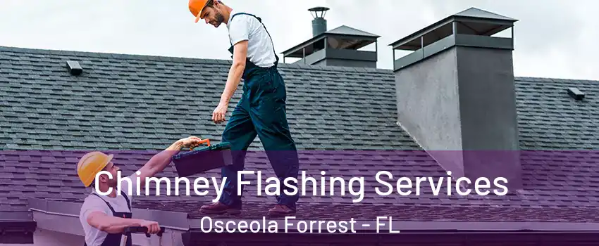 Chimney Flashing Services Osceola Forrest - FL