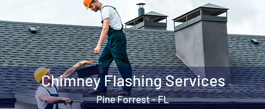 Chimney Flashing Services Pine Forrest - FL