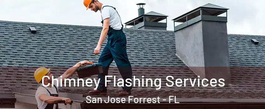 Chimney Flashing Services San Jose Forrest - FL