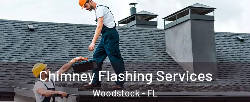 Chimney Flashing Services Woodstock - FL