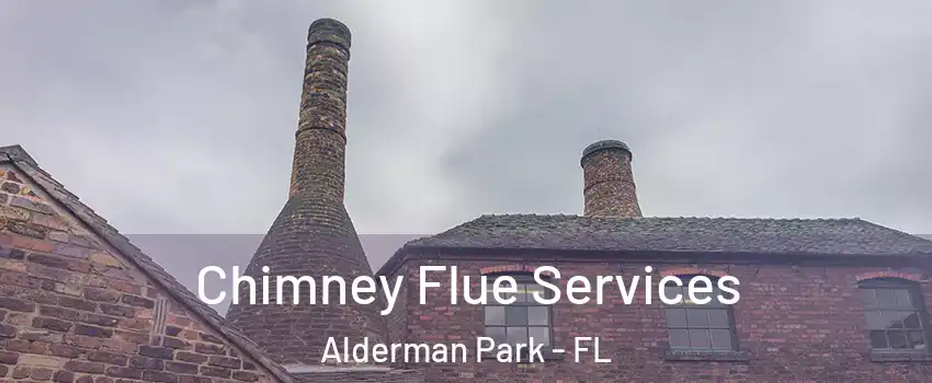 Chimney Flue Services Alderman Park - FL