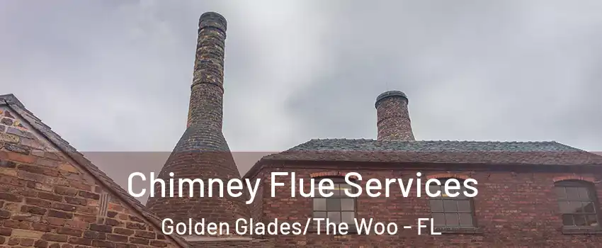 Chimney Flue Services Golden Glades/The Woo - FL