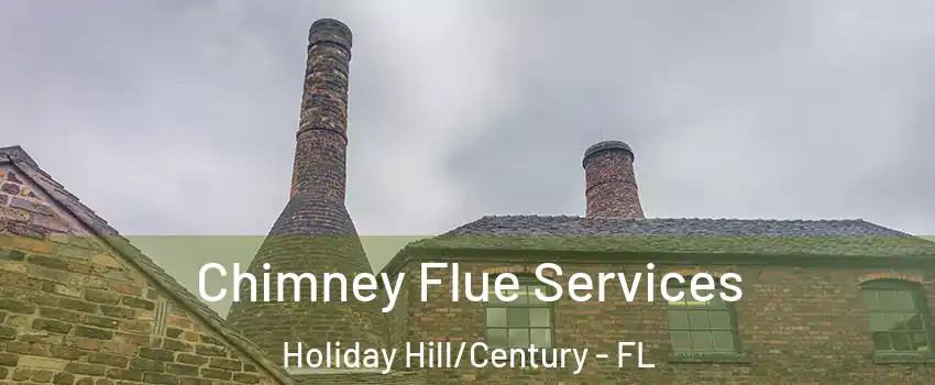 Chimney Flue Services Holiday Hill/Century - FL