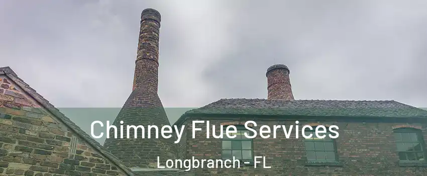 Chimney Flue Services Longbranch - FL