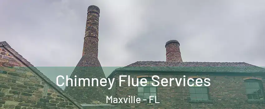 Chimney Flue Services Maxville - FL