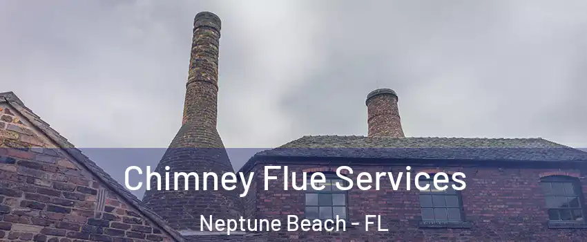 Chimney Flue Services Neptune Beach - FL