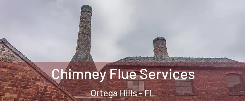 Chimney Flue Services Ortega Hills - FL