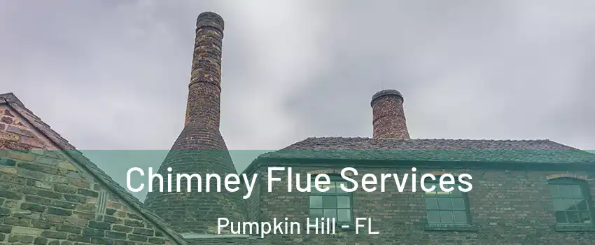 Chimney Flue Services Pumpkin Hill - FL