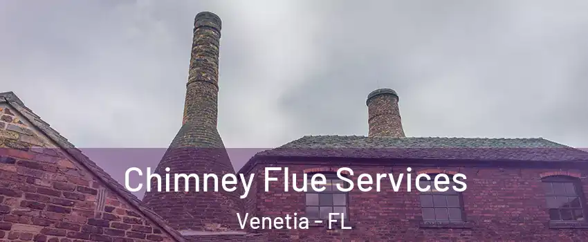 Chimney Flue Services Venetia - FL