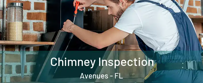 Chimney Inspection Avenues - FL