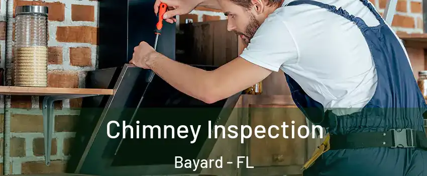 Chimney Inspection Bayard - FL