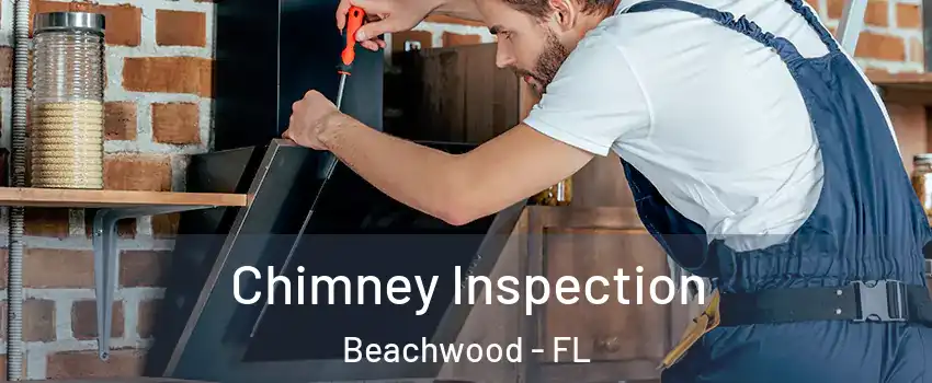 Chimney Inspection Beachwood - FL