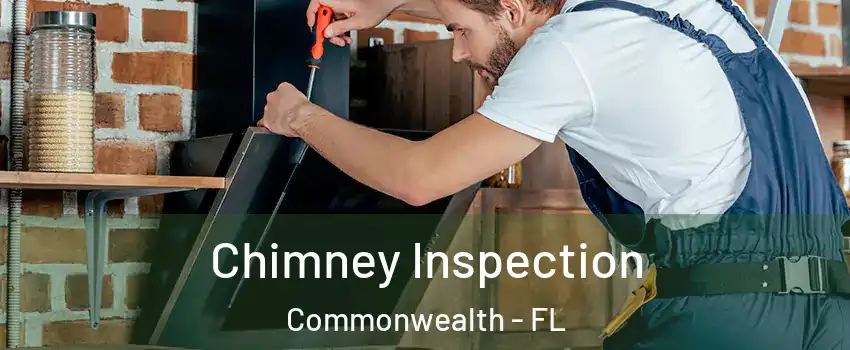 Chimney Inspection Commonwealth - FL