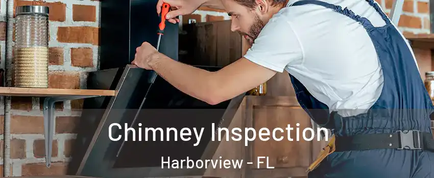 Chimney Inspection Harborview - FL