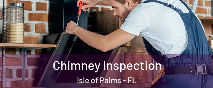 Chimney Inspection Isle of Palms - FL