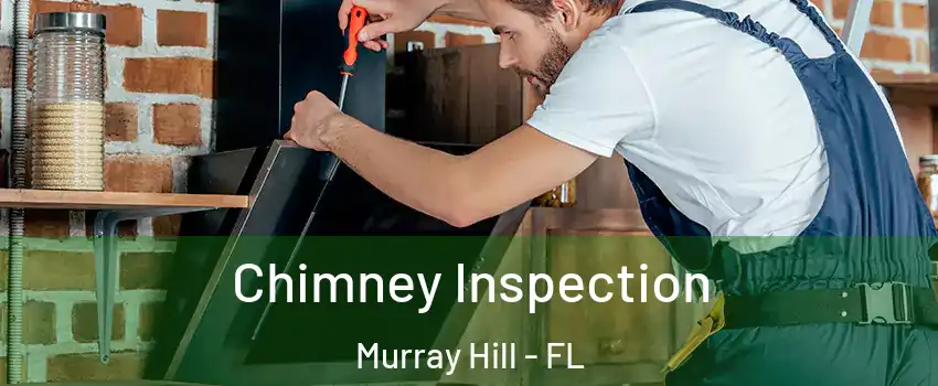 Chimney Inspection Murray Hill - FL