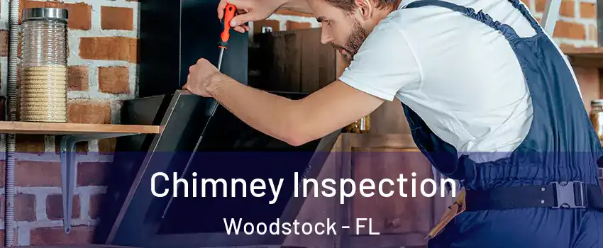 Chimney Inspection Woodstock - FL