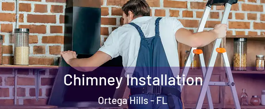 Chimney Installation Ortega Hills - FL