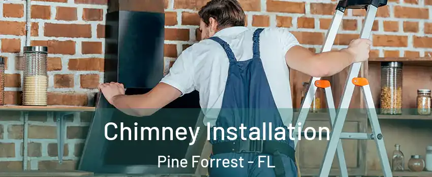 Chimney Installation Pine Forrest - FL