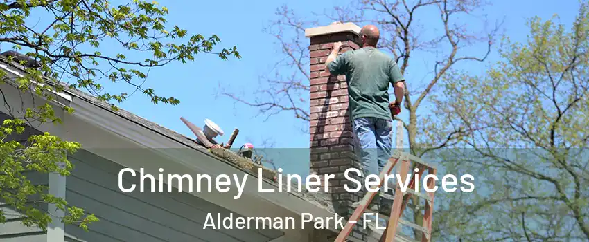 Chimney Liner Services Alderman Park - FL