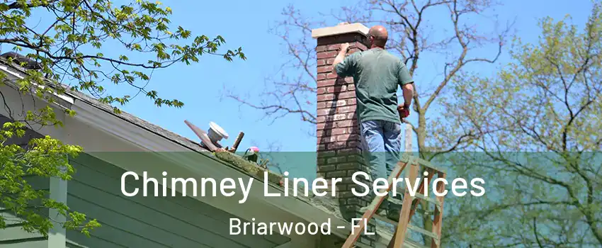 Chimney Liner Services Briarwood - FL