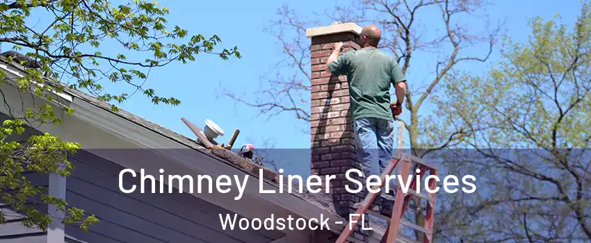 Chimney Liner Services Woodstock - FL