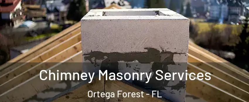 Chimney Masonry Services Ortega Forest - FL