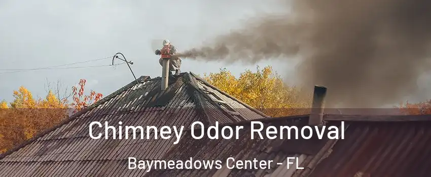 Chimney Odor Removal Baymeadows Center - FL