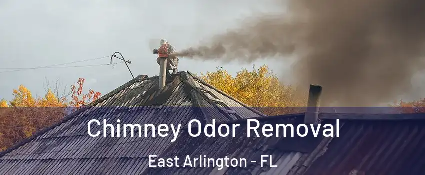 Chimney Odor Removal East Arlington - FL