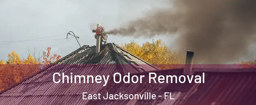 Chimney Odor Removal East Jacksonville - FL