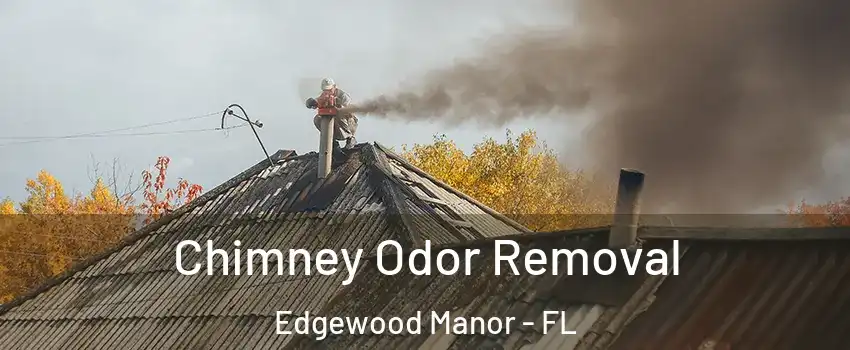 Chimney Odor Removal Edgewood Manor - FL