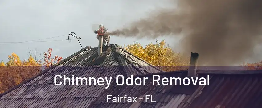 Chimney Odor Removal Fairfax - FL