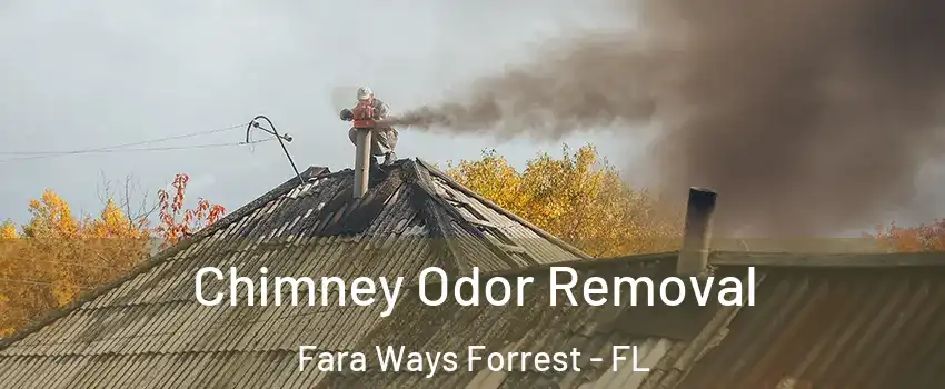 Chimney Odor Removal Fara Ways Forrest - FL