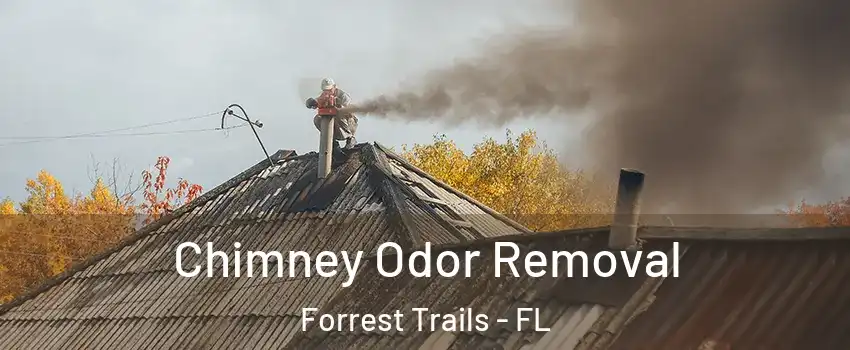 Chimney Odor Removal Forrest Trails - FL