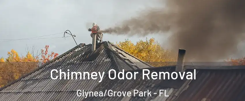 Chimney Odor Removal Glynea/Grove Park - FL
