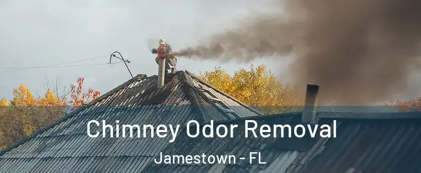 Chimney Odor Removal Jamestown - FL