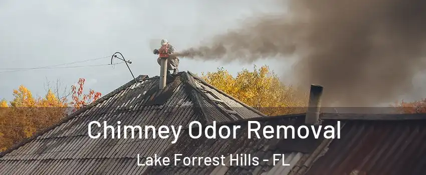 Chimney Odor Removal Lake Forrest Hills - FL