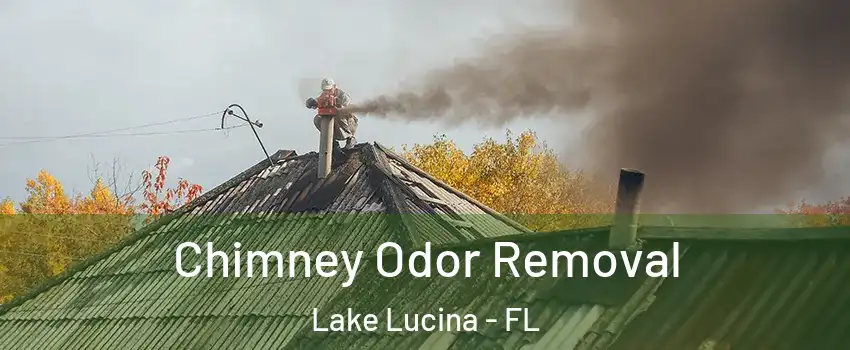 Chimney Odor Removal Lake Lucina - FL