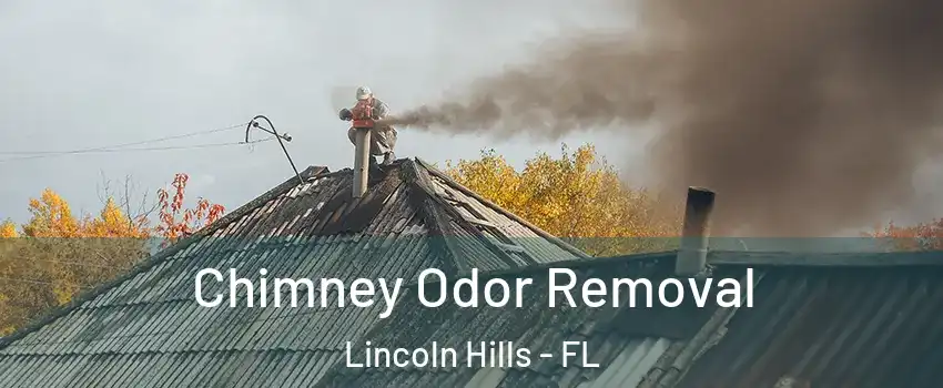 Chimney Odor Removal Lincoln Hills - FL