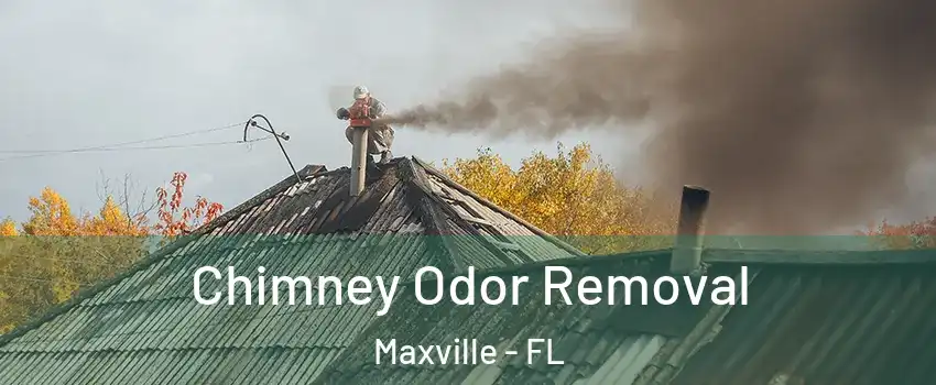 Chimney Odor Removal Maxville - FL