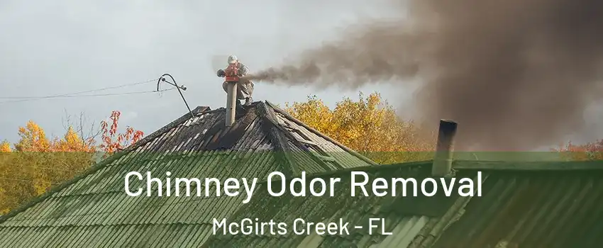 Chimney Odor Removal McGirts Creek - FL