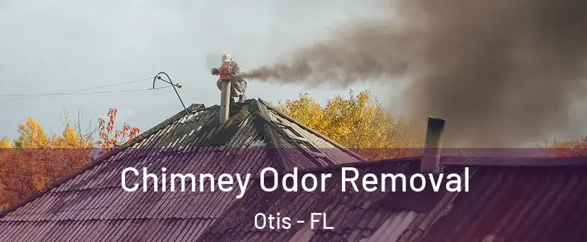 Chimney Odor Removal Otis - FL